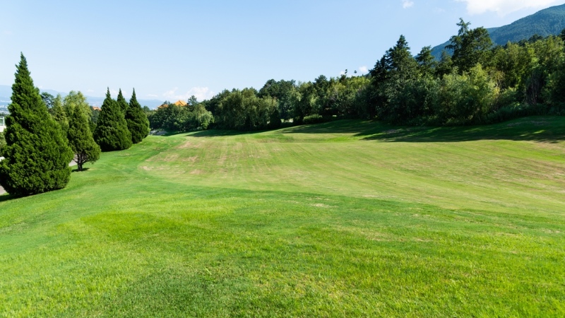 Activities in Irmo SC