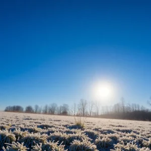 Clear blue sky on a winter morning in Irmo, SC