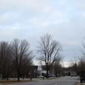 Chilly December morning in Irmo, SC with cloudy skies