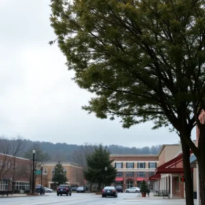 Overcast skies in Irmo, SC with light rain on December 4, 2025.