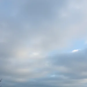 Cloudy sky over Irmo with temperature at 46°F