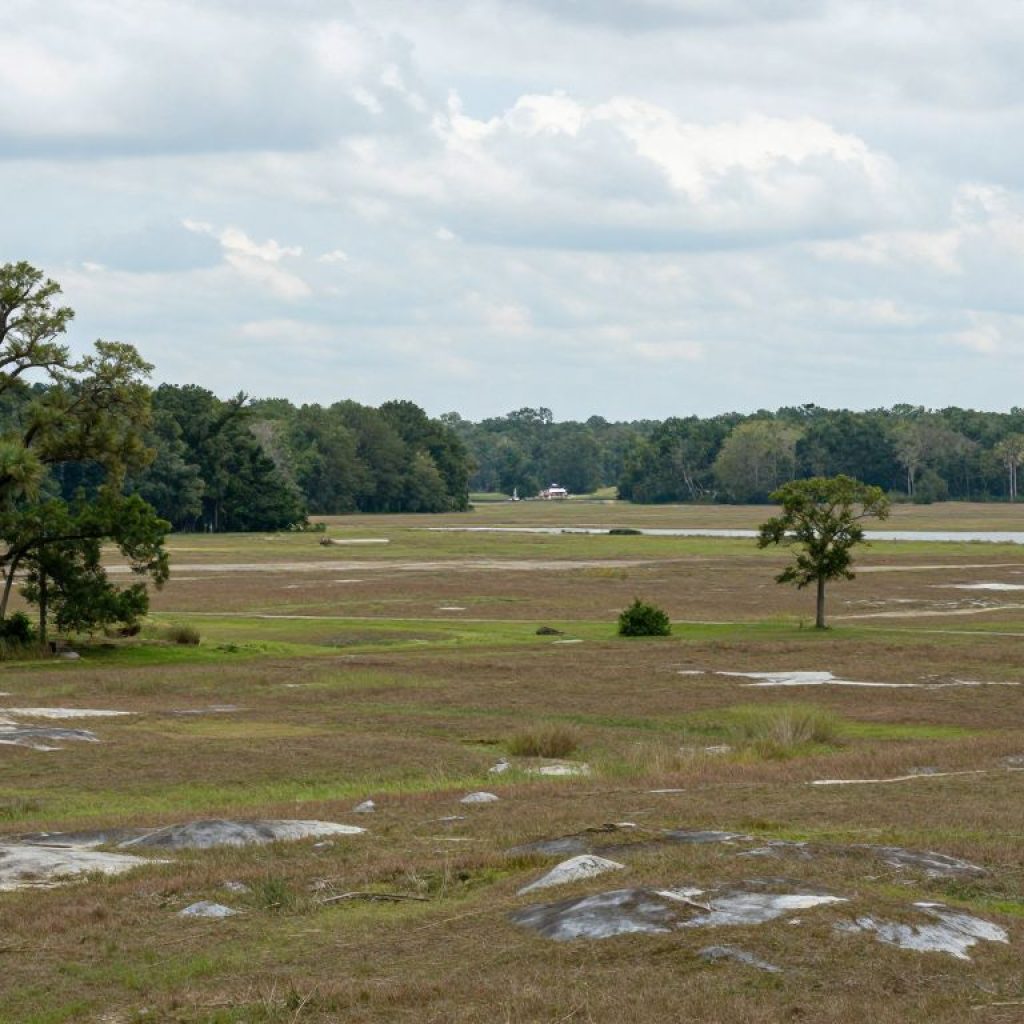 Landscape view of Irmo, South Carolina, showcasing natural surroundings.