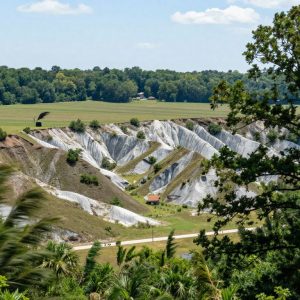 Scenic view of Irmo, South Carolina showing geological features and trees swaying.