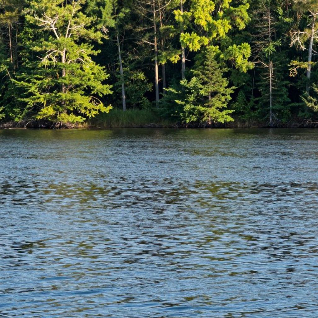 Serene view of Lake Murray in Irmo SC with rippling water.