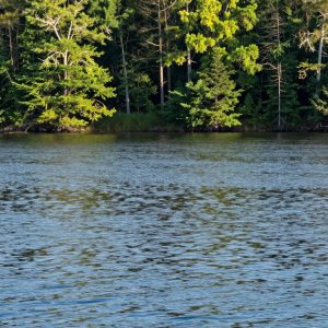Serene view of Lake Murray in Irmo SC with rippling water.