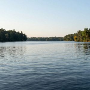 Scenic view of Lake Murray with subtle ripples suggesting seismic tremors.