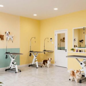 Interior of a pet care grooming salon