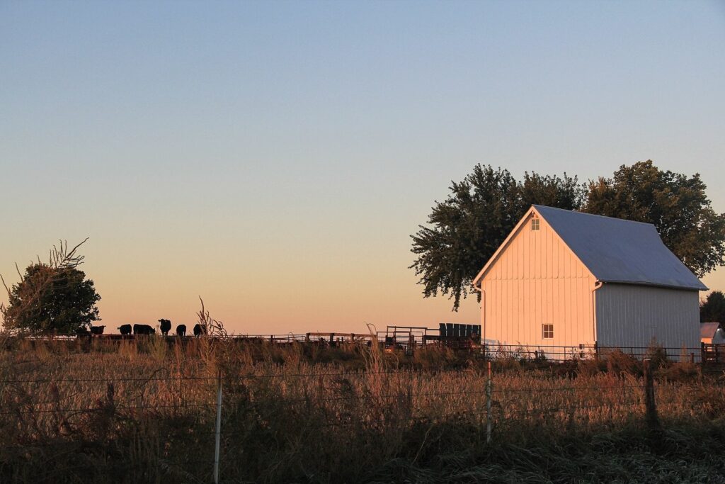 Barn on a rural farm at sunset