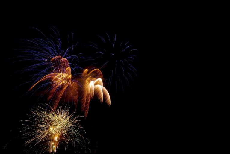 Fireflies Holiday Lights Return to Columbia Nov. 20